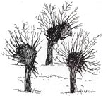 XV Lednicka Wiosna Poetycka - zaproszeni